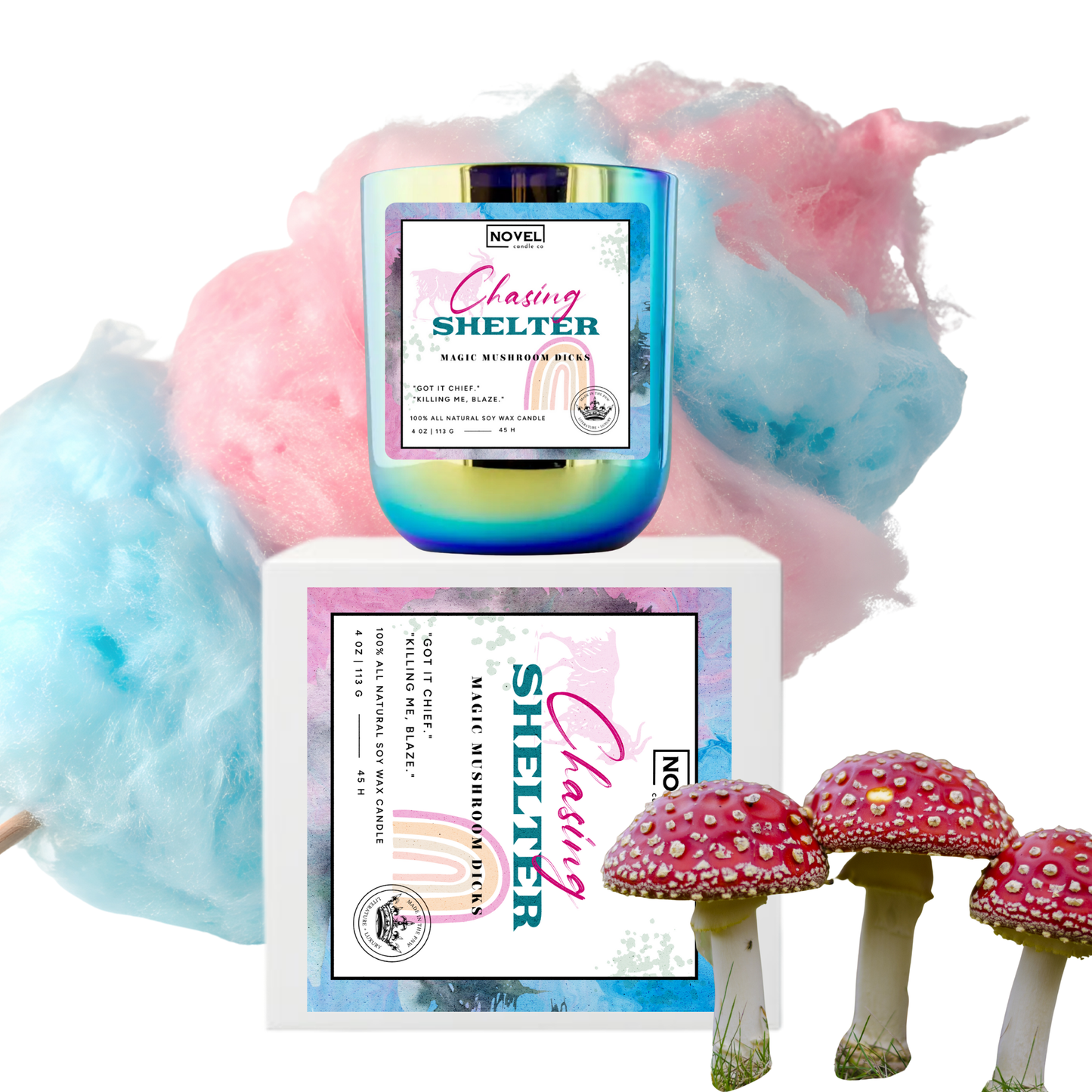 Chasing Shelter- PREORDER