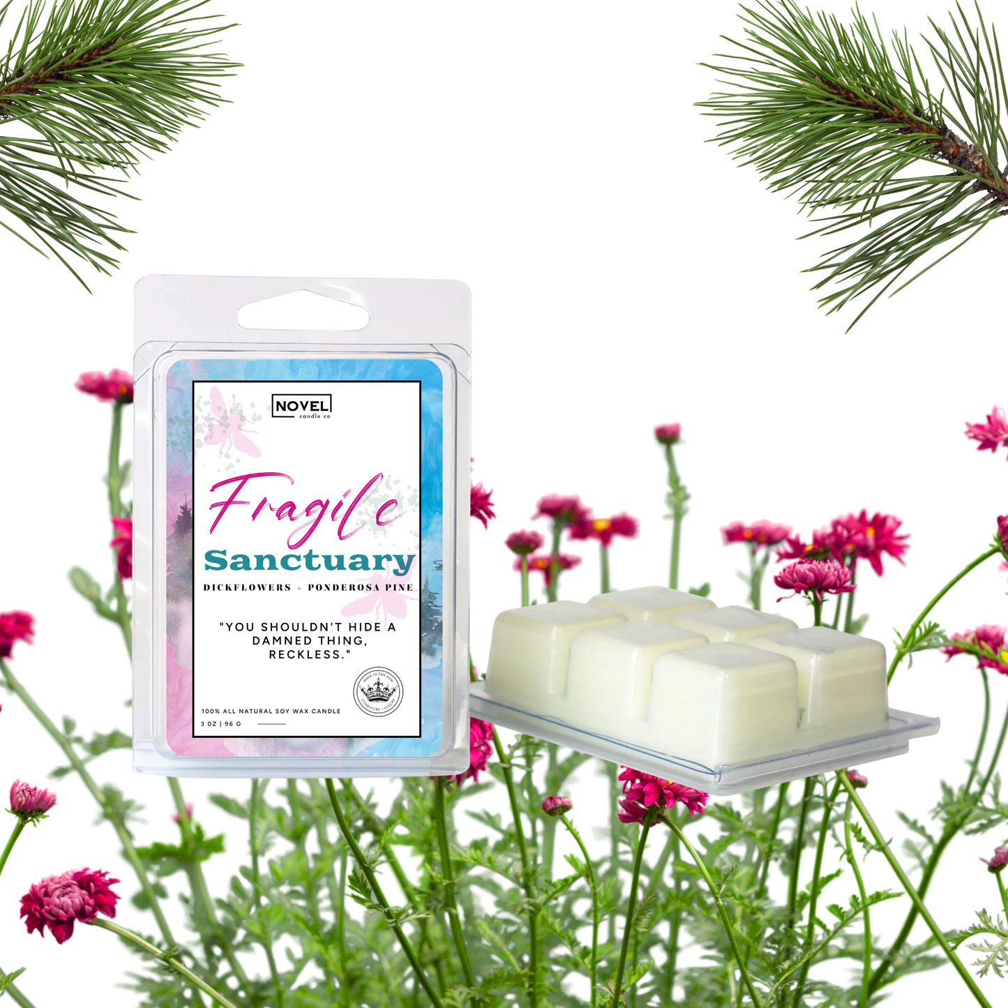 Fragile Sanctuary- PREORDER