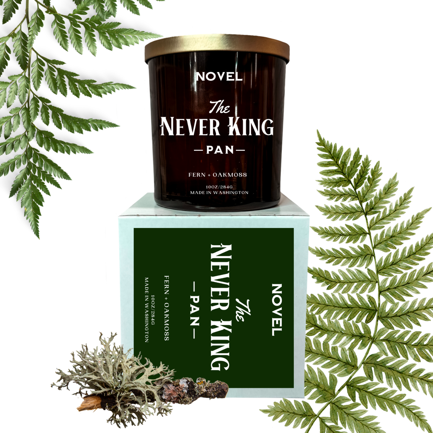 The Never King