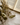 The Novel Collections