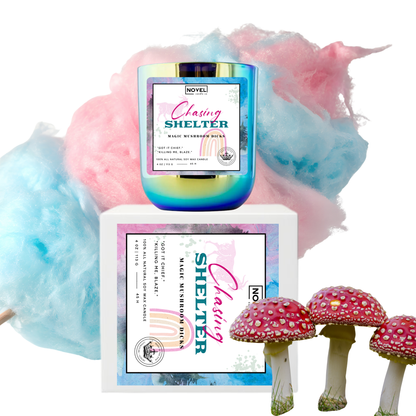 Chasing Shelter- PREORDER