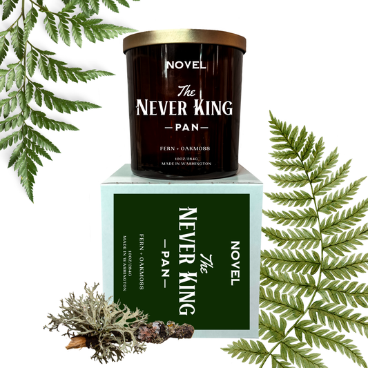 The Never King