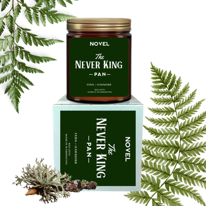 The Never King